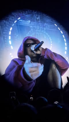 Creator collaboration with Coachella by @leannanarcho