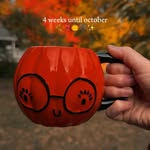 Creator collaboration with Amazon by @hannahreneex23