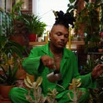 Creator collaboration with Lowe's by @plantkween