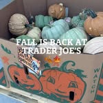 Creator collaboration with Trader Joe's by @katieconyershome