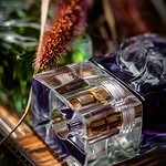 Creator collaboration with Michael Kors by @_tonyflynn