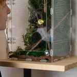 Creator collaboration with PetSmart by @helloandreasmith