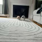 Creator collaboration with PetSmart by @dunksthebunny