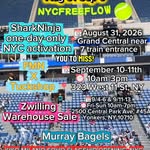 Creator collaboration with Shark Beauty by @nyc_freeflow