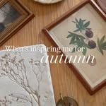 Creator collaboration with Kohl's by @shannonsantiagohome