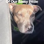 Creator collaboration with The Home Depot by @calypso.the.pit