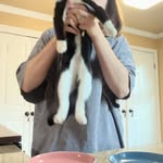 Creator collaboration with Native Pet by @bookerbonnieandboots