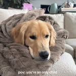 Creator collaboration with Lola Blankets by @stellathegoldennyc