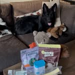 Creator collaboration with Native Pet by @textheblackgsd