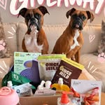 Creator collaboration with Native Pet by @keepingupwithlilyandnora