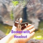 Creator collaboration with Headout by @areej_shoaib
