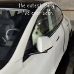 Creator collaboration with Tesla by @alexaaawhitee