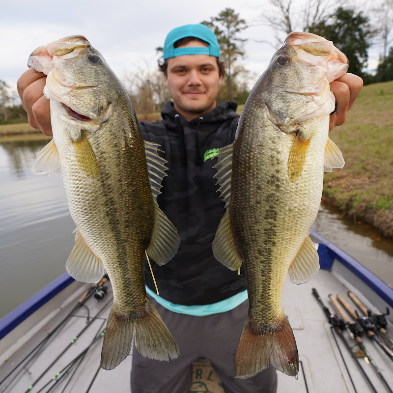 AYO Fishing channel photo