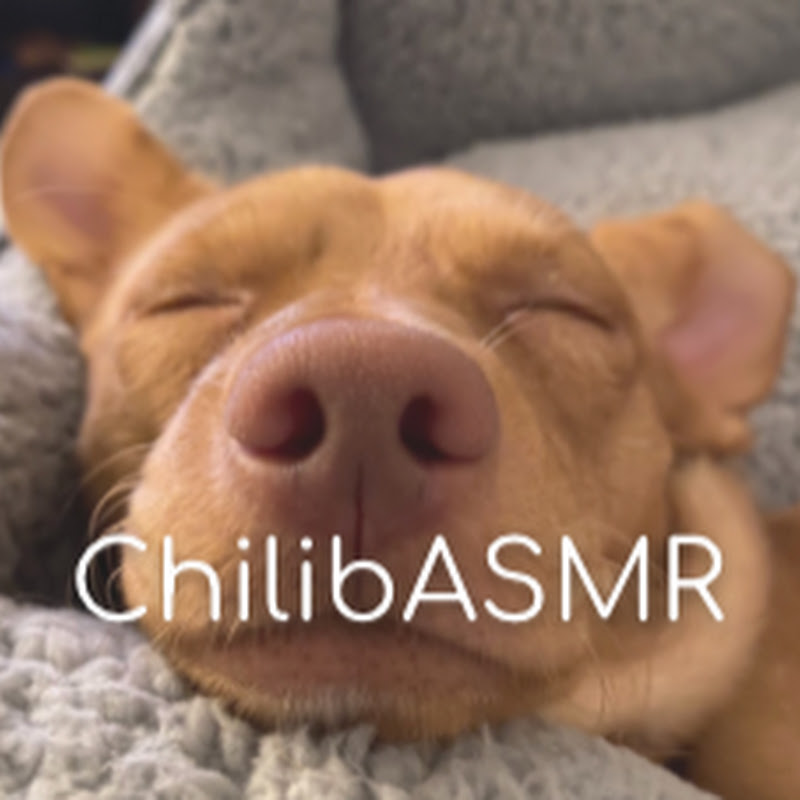 Chili b ASMR channel photo