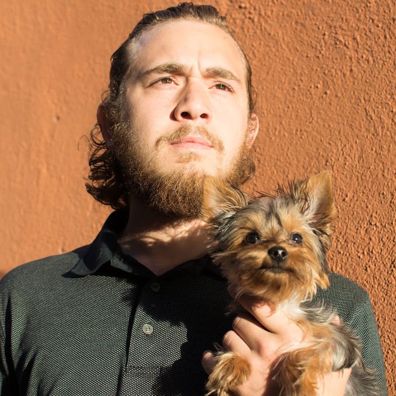 DogFather Dog Institute channel photo