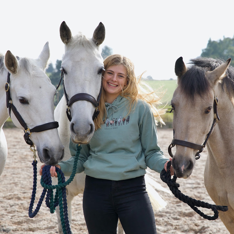 Elphick.Event.Ponies channel photo