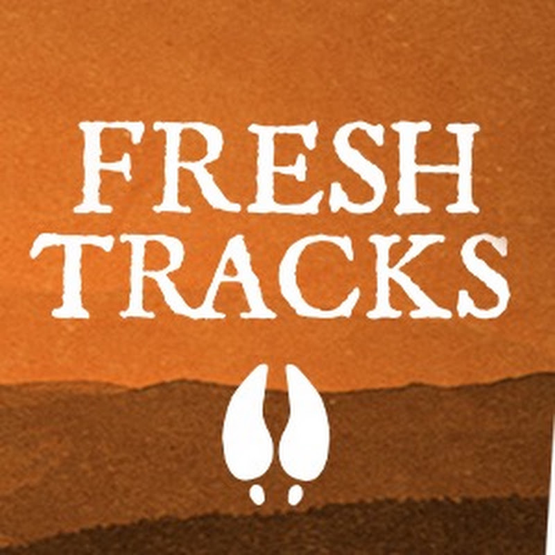 Fresh Tracks channel photo