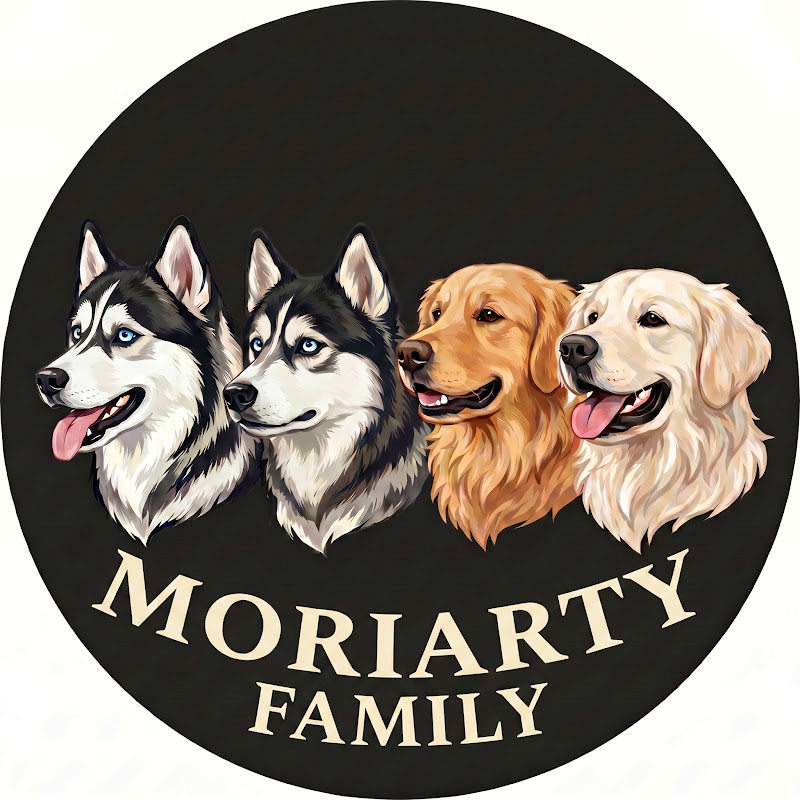 The Moriarty Family channel photo