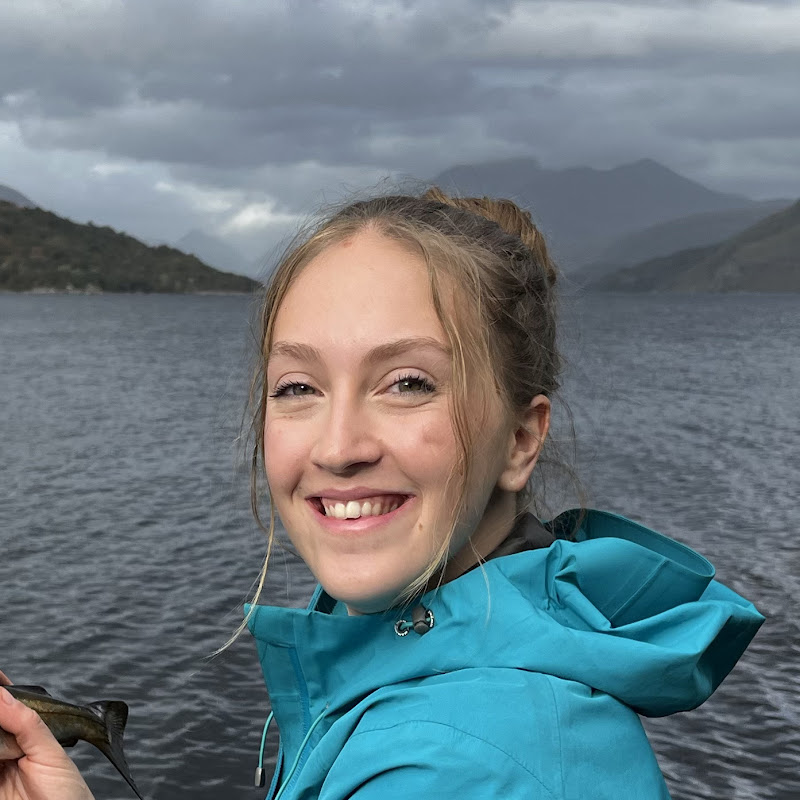 Katie Roams channel photo