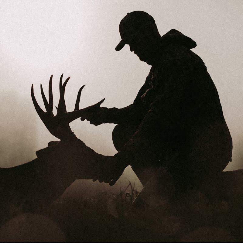 Levi Morgan channel photo