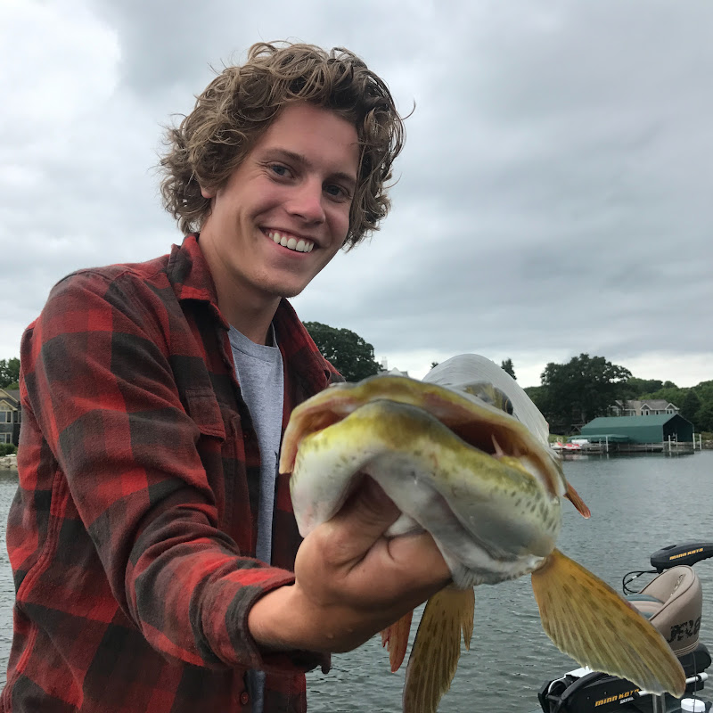 Mav channel photo