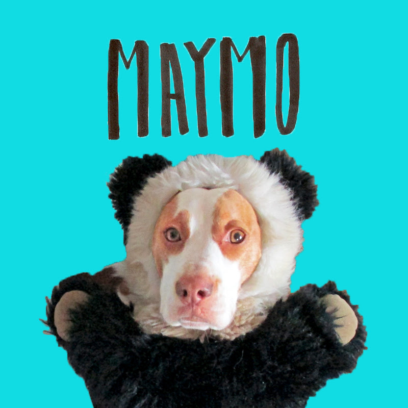 Maymo channel photo