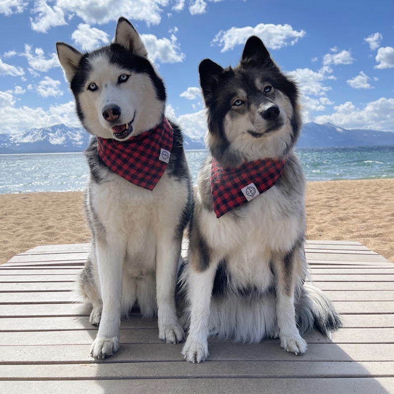 My Mountain Husky channel photo