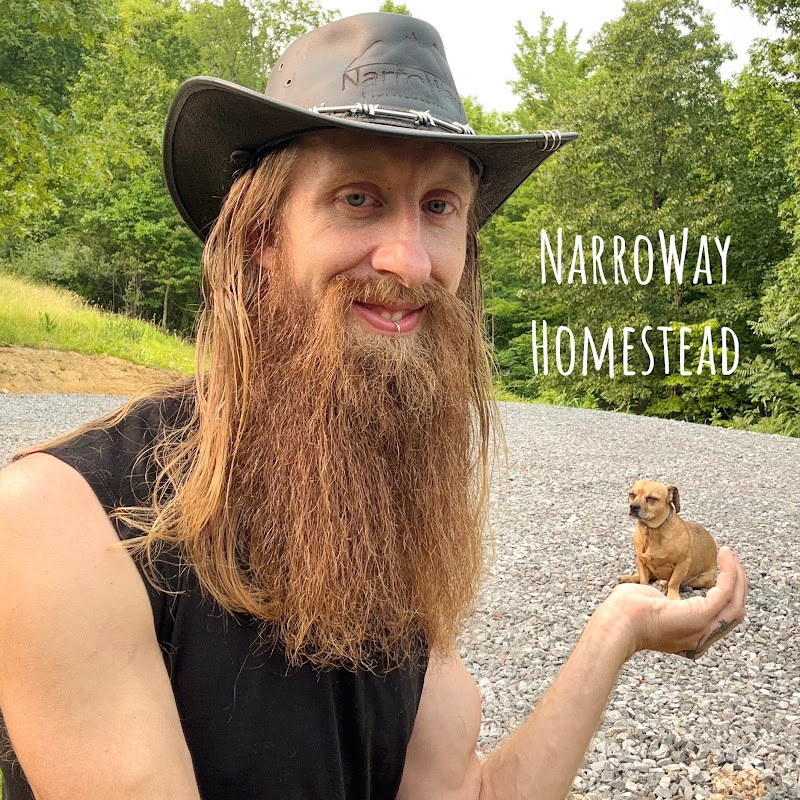 Nate Petroski channel photo