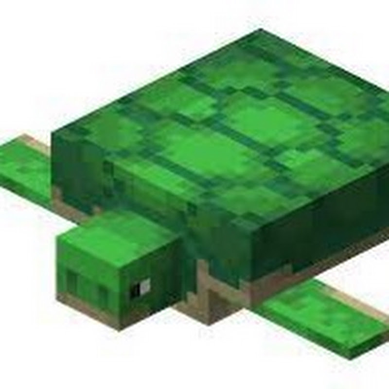 SeaWattgaming channel photo
