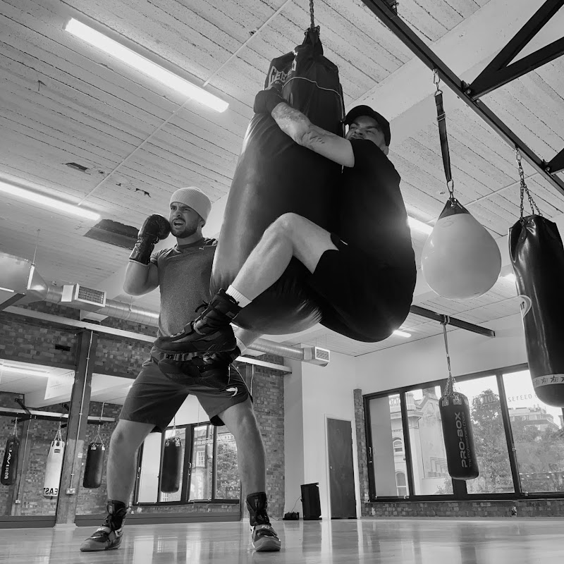 Thoseboxingbrothers channel photo